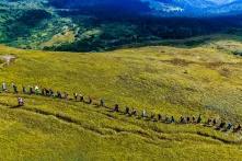 Green Camp participants are hiking on a mountain