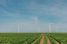 Wind power plants in the field