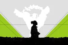 ілюстрація в сіро-зелених тонах, жінка на фоні стелли