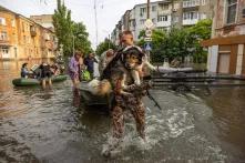 Люди рятують тварин на Херсонщині