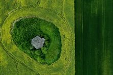 Яким може та має бути зелене відновлення під час війни 