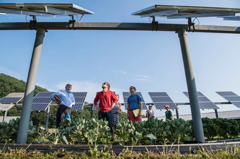 A team of researchers discusses solar panels