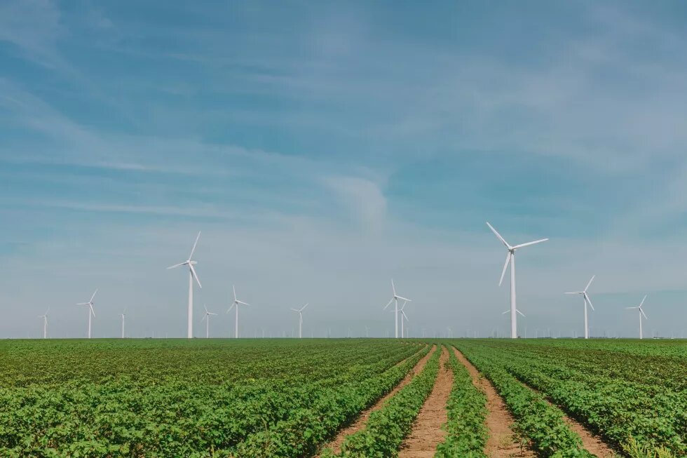 Wind power plants in the field