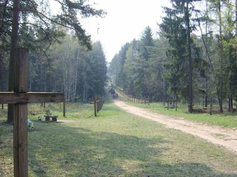 Holzkreuze in Kurapaty, Belarus / Дерев'яні хрести в Куропатах, Білорусь