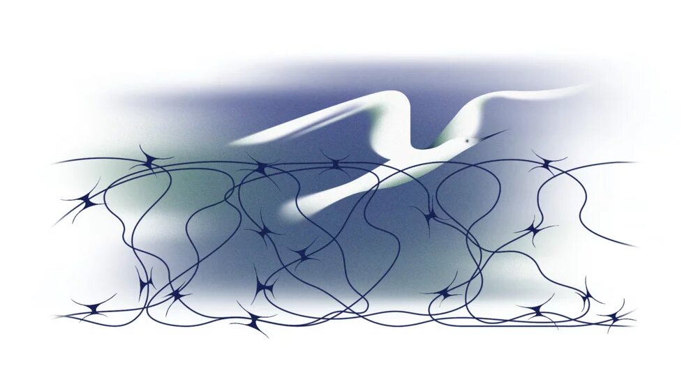 Птах у польоті, долає колючий дріт 