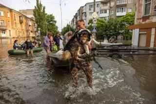 Люди рятують тварин на Херсонщині